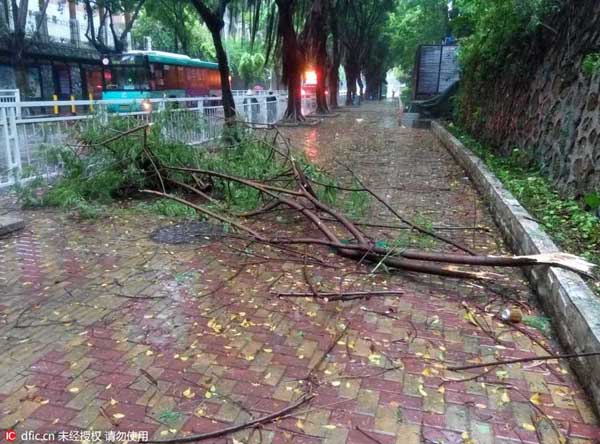 Guangdong and neighboring areas brace for Typhoon Nida