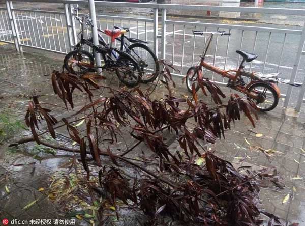 Guangdong and neighboring areas brace for Typhoon Nida