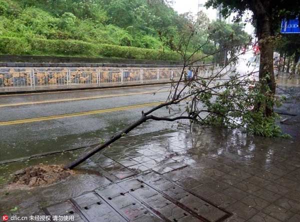 Guangdong and neighboring areas brace for Typhoon Nida