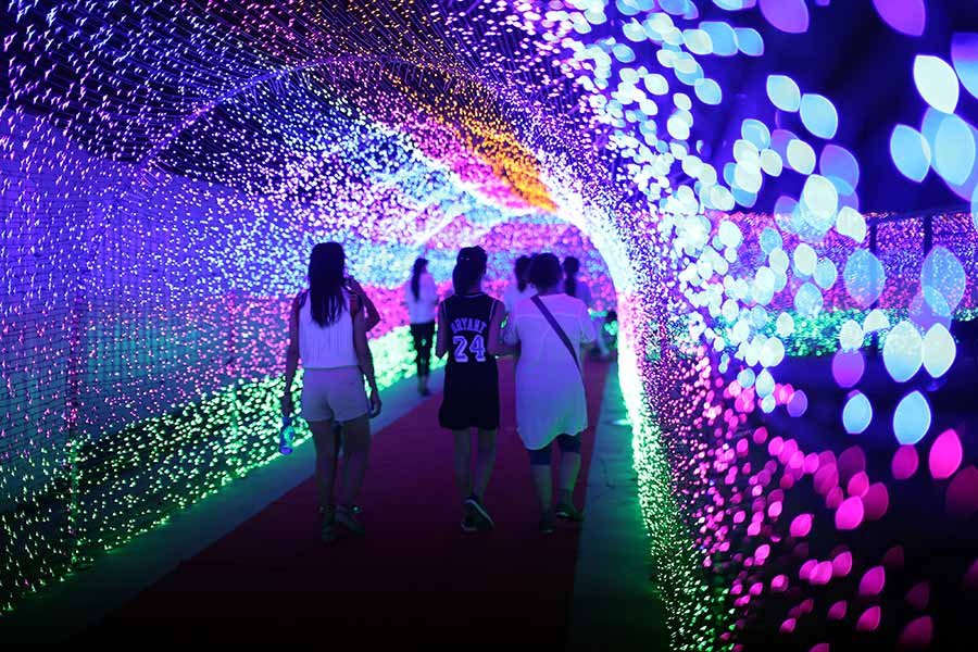 Millions of LED lights shine in E China