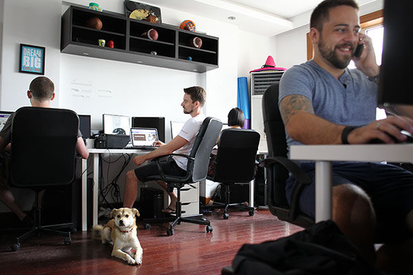 Office pets cut stress, help morale