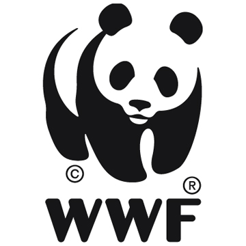 Giant panda no longer endangered - WWF