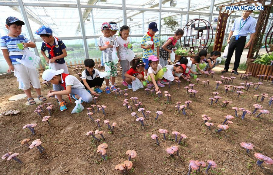 Primary school students given class at agricultural demonstration base