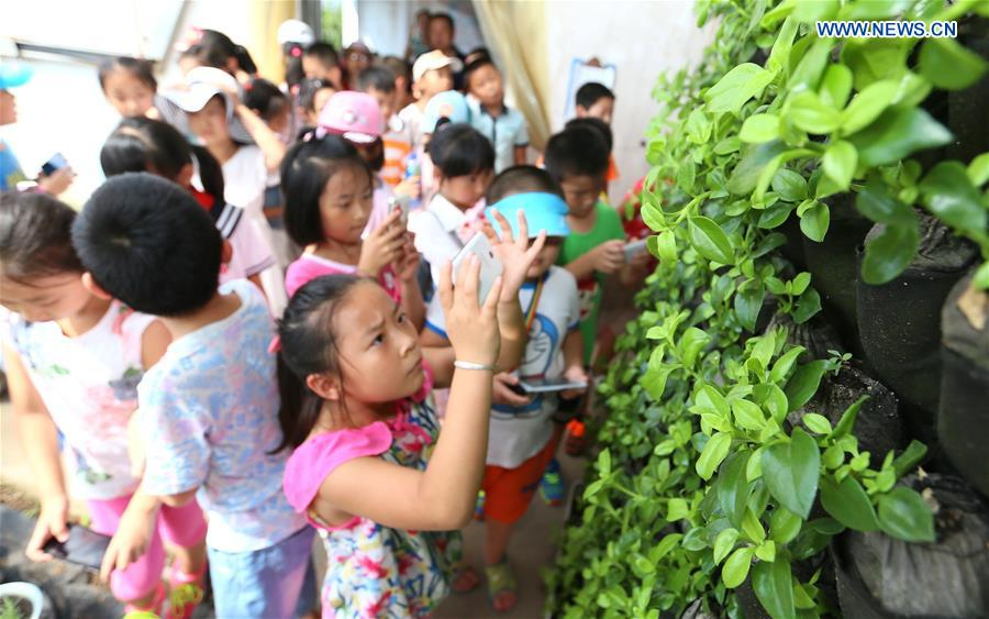 Primary school students given class at agricultural demonstration base