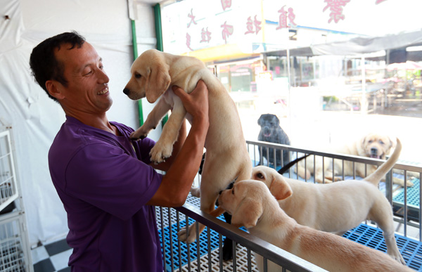 No place for dogs in new look Tongzhou