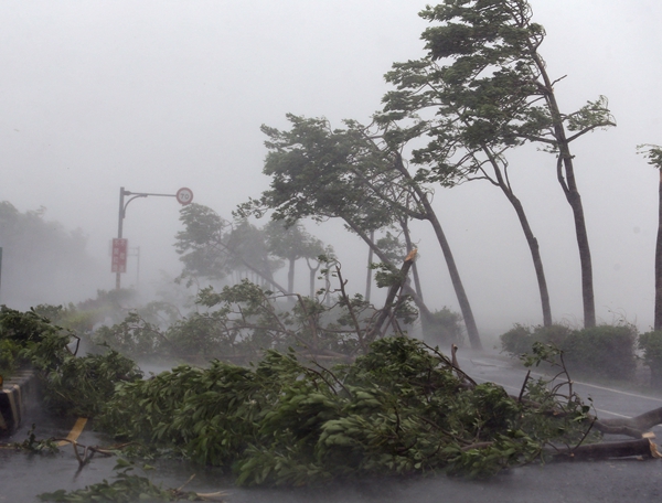 Typhoon Meranti leaves 1 dead, 51 injured in Taiwan