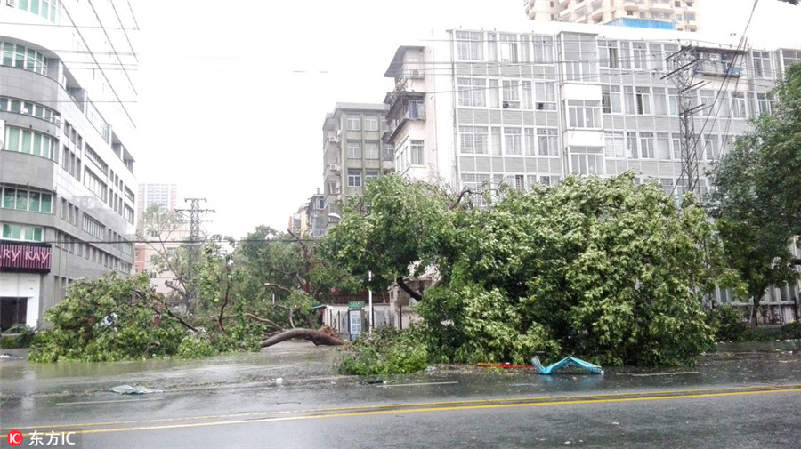 Typhoon Meranti causes extensive damage in East China