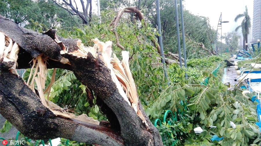 Typhoon Meranti causes extensive damage in East China