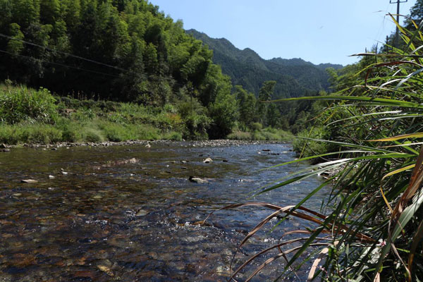 Green fishing method increase locals' income in Yellow Mountain