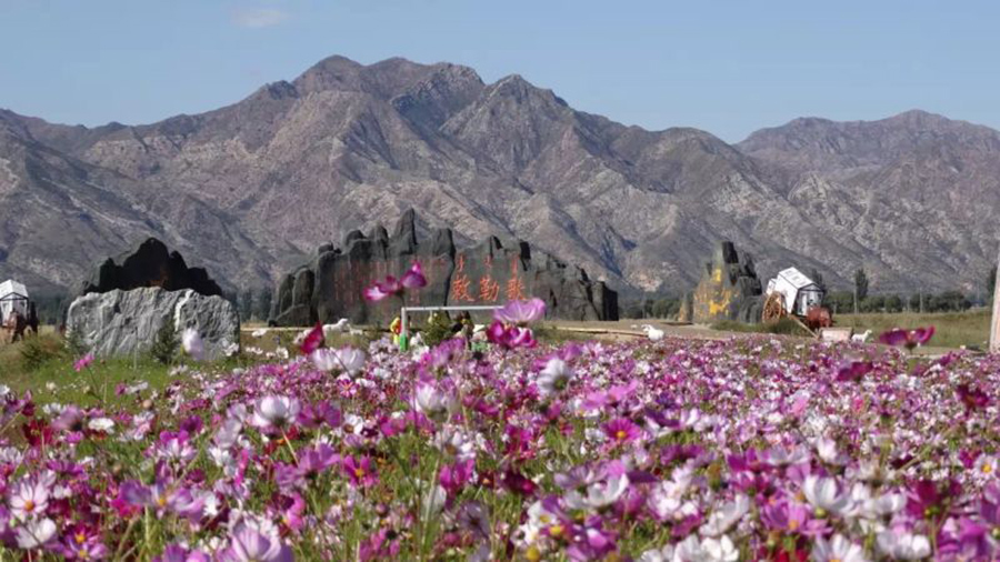 Autumn scenes brighten the landscape in Inner Mongolia