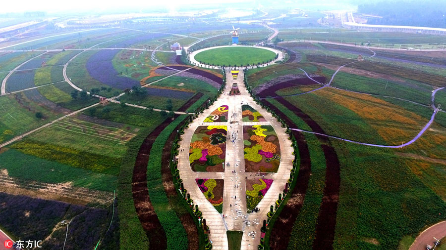 Henan's huge flower field spreads its scent far and wide