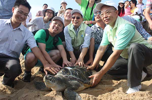 Hope blossoms for endangered turtles