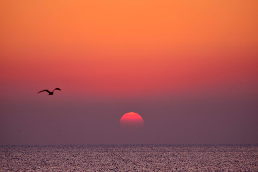 Wonderland-like sunrise in East China