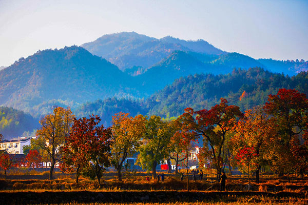 Autumn splendor in Central China's Dabie Mountains