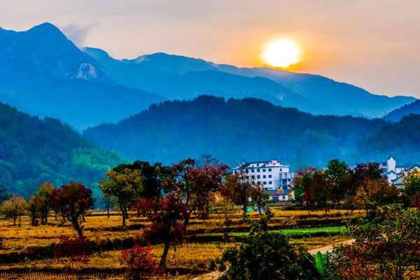 Autumn splendor in Central China's Dabie Mountains