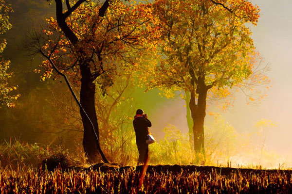 Autumn splendor in Central China's Dabie Mountains
