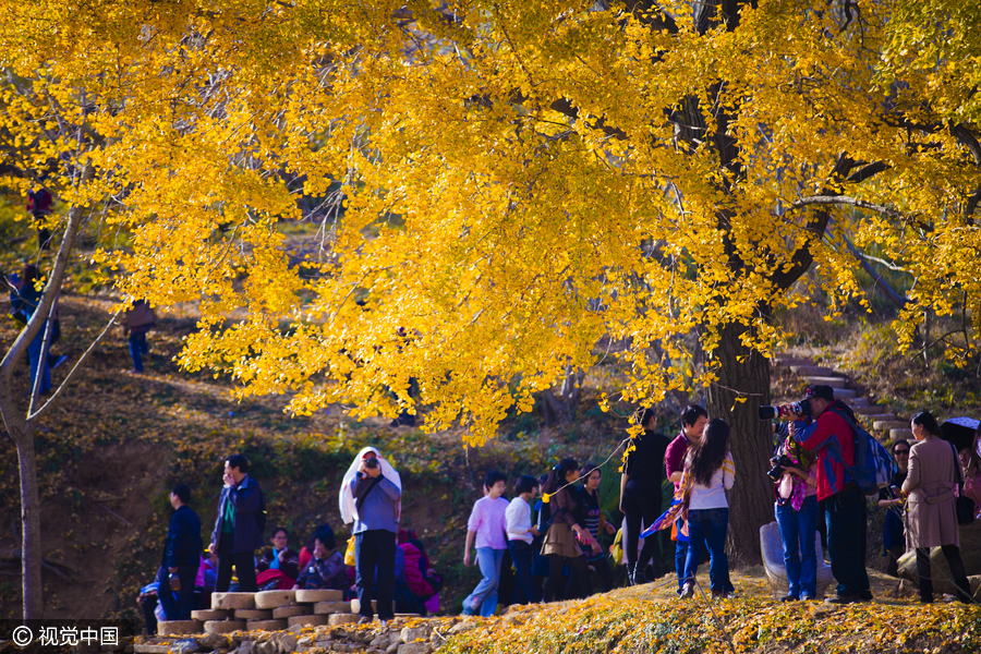 Beat the crowds with beauty during National Day holiday