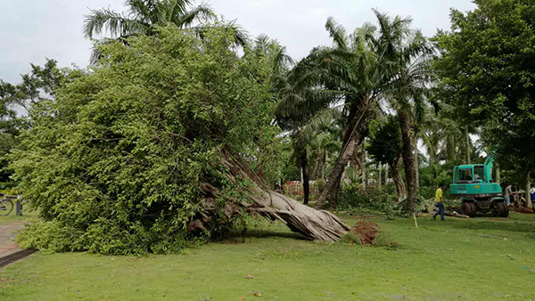 Typhoon Sarika brings heavy toll in Hainan