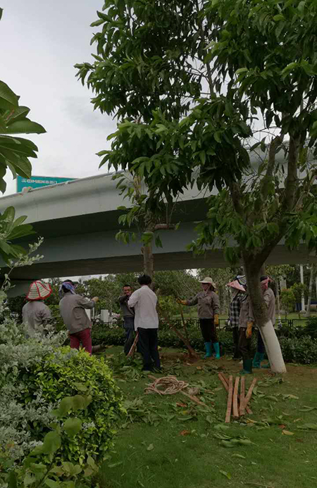 Typhoon Sarika brings heavy toll in Hainan