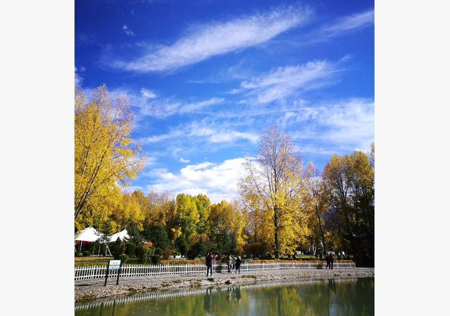 Under the blue sky of Tibet