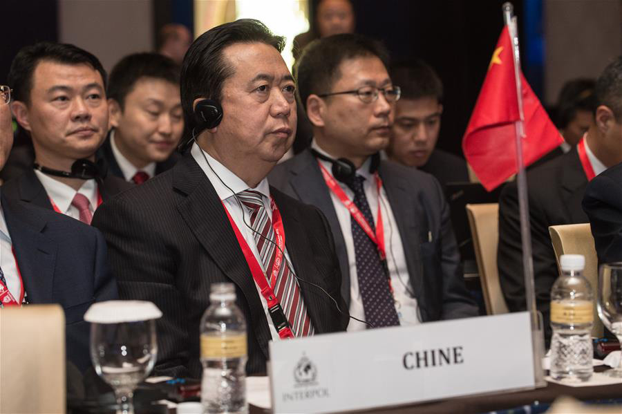 China's vice minister for Public Security elected as Interpol president