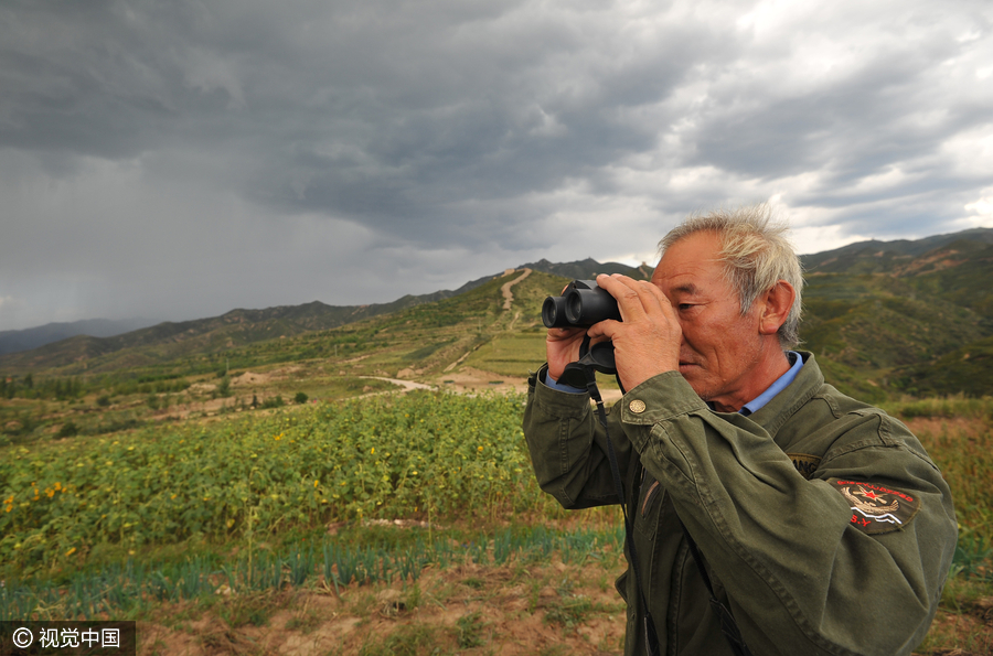 Man plants 500,000 trees over 26 years