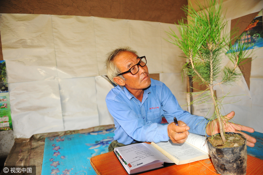 Man plants 500,000 trees over 26 years