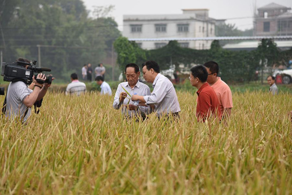 China's 'father of hybrid rice' sets new world records
