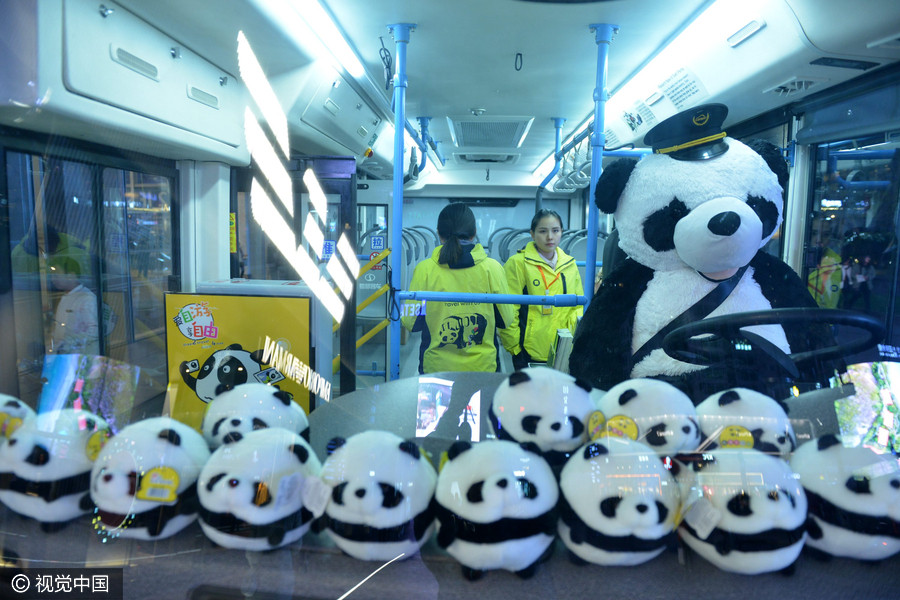 All aboard the panda bus in Chengdu
