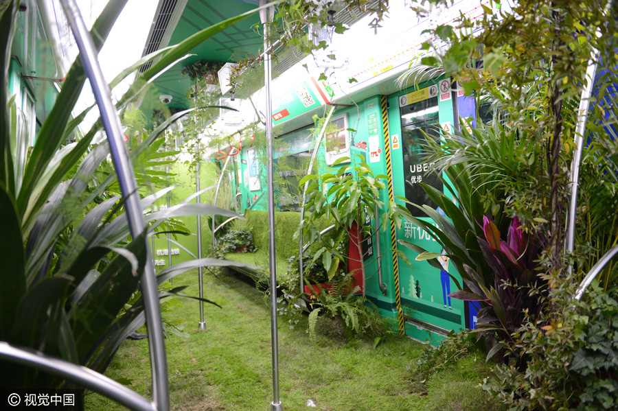 'Forest subway' in Hangzhou