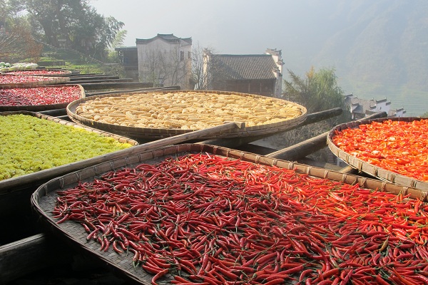 Mountainside village turned living museum