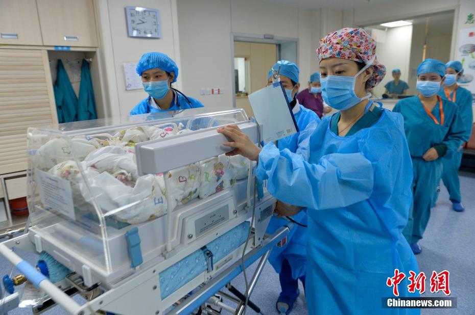 Extremely rare identical quadruplets born