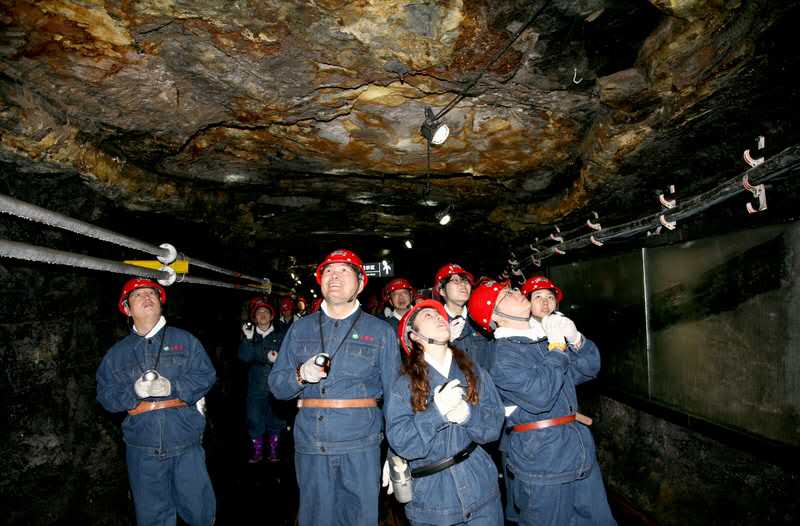 Eco-friendly park sheds light on mining