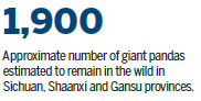 Panda twins born abroad get 'elegant' and 'happy' names