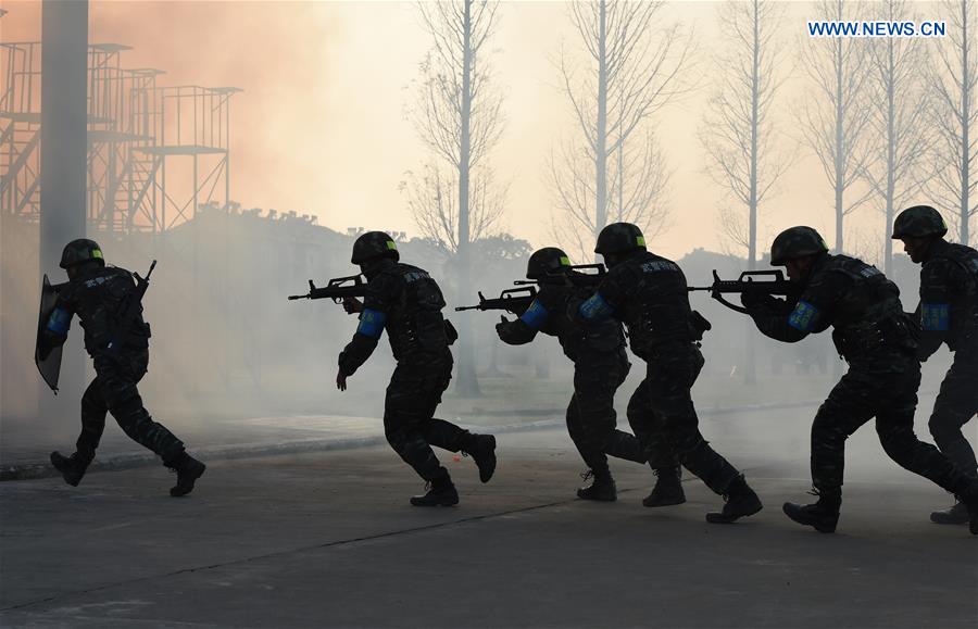 SWAT team members participate in training