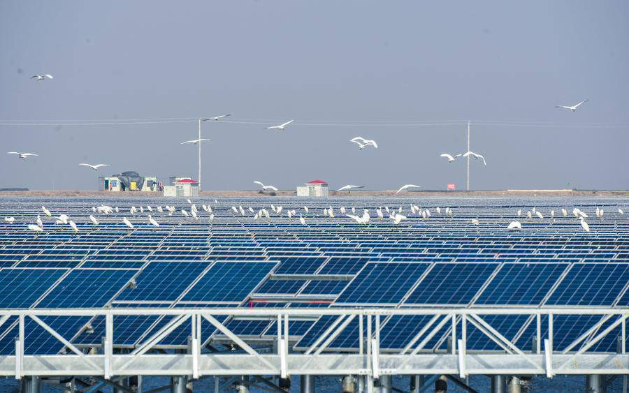 Solar power project under construction above fishery water