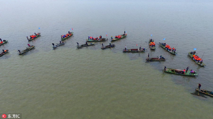 Catching fish in a unique way