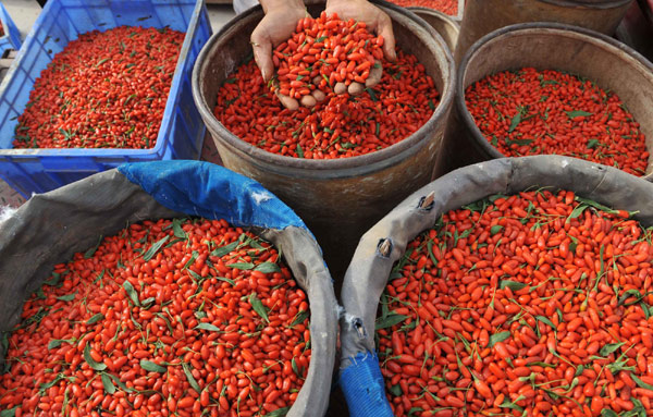 Chinese goji berry increases appetite of western foodies