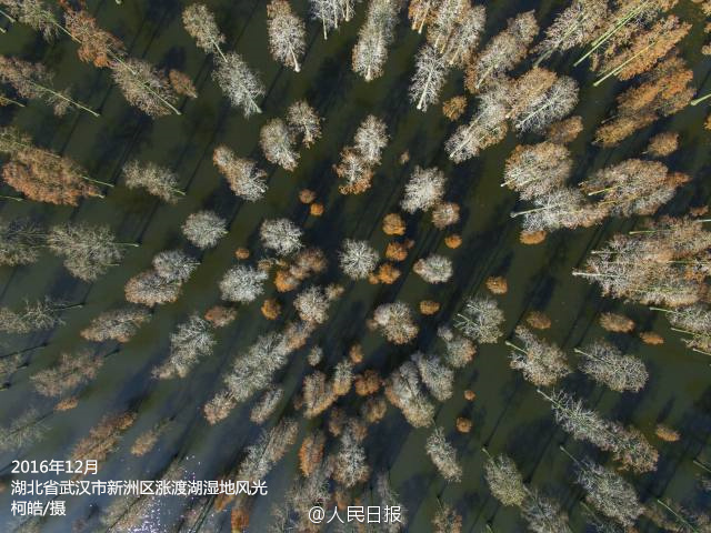 Drones reveal the amazing beauty of China in 2016