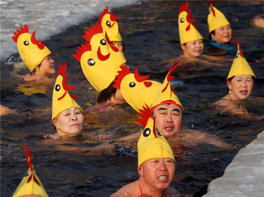 Winter swimmers celebrate Year of the Rooster