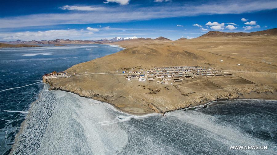 Annual migration of herds of sheep across world's highest lakes