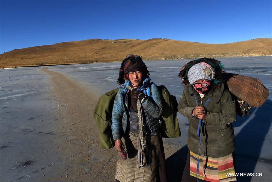 Annual migration of herds of sheep across world's highest lakes