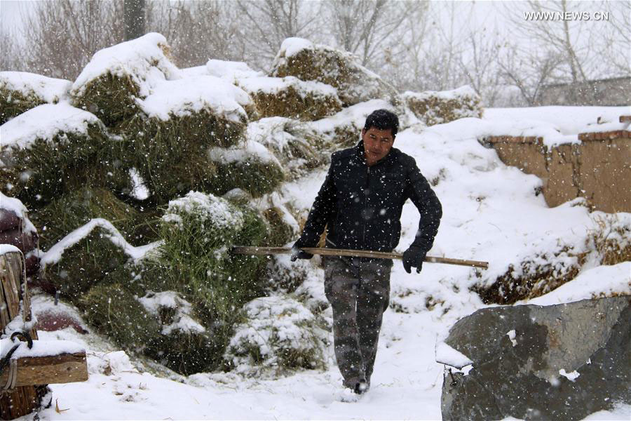 China issues blue alert for cold wave brought by blast of strong cold air