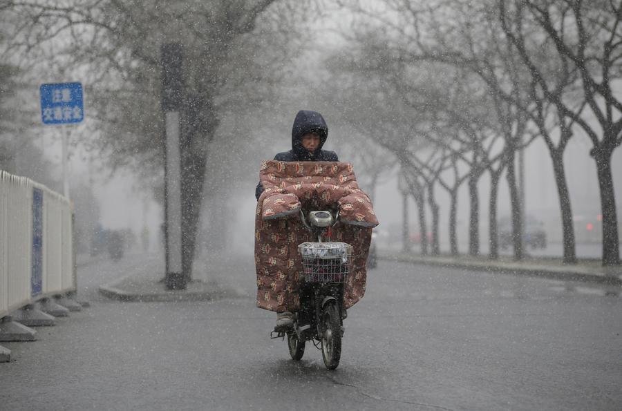 Beijing welcomes first snow in Year of the Rooster