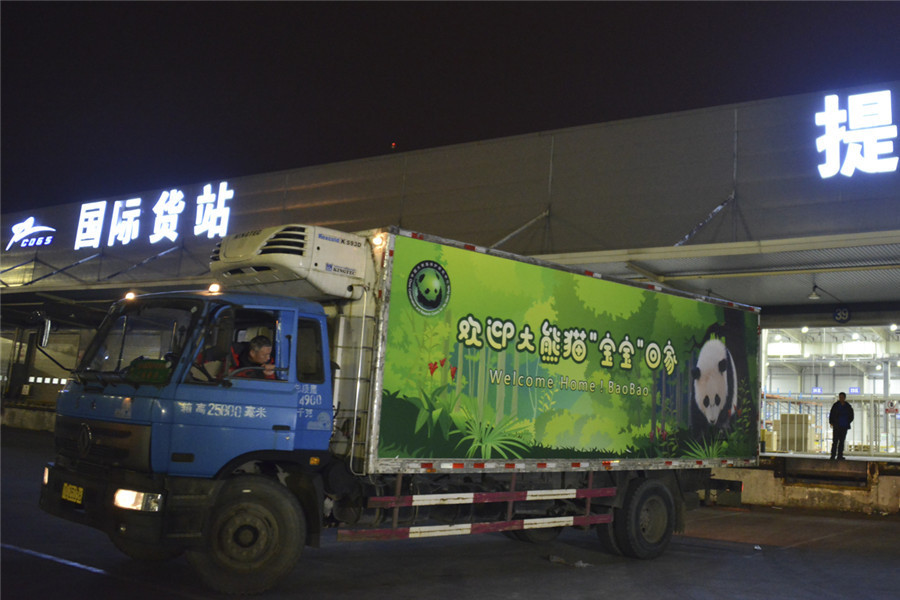 Bao Bao lands safely in China after return from US