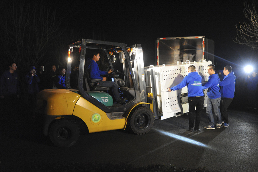 Bao Bao lands safely in China after return from US