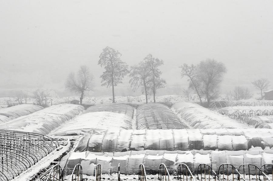 Snowfall hits NW China's Gansu