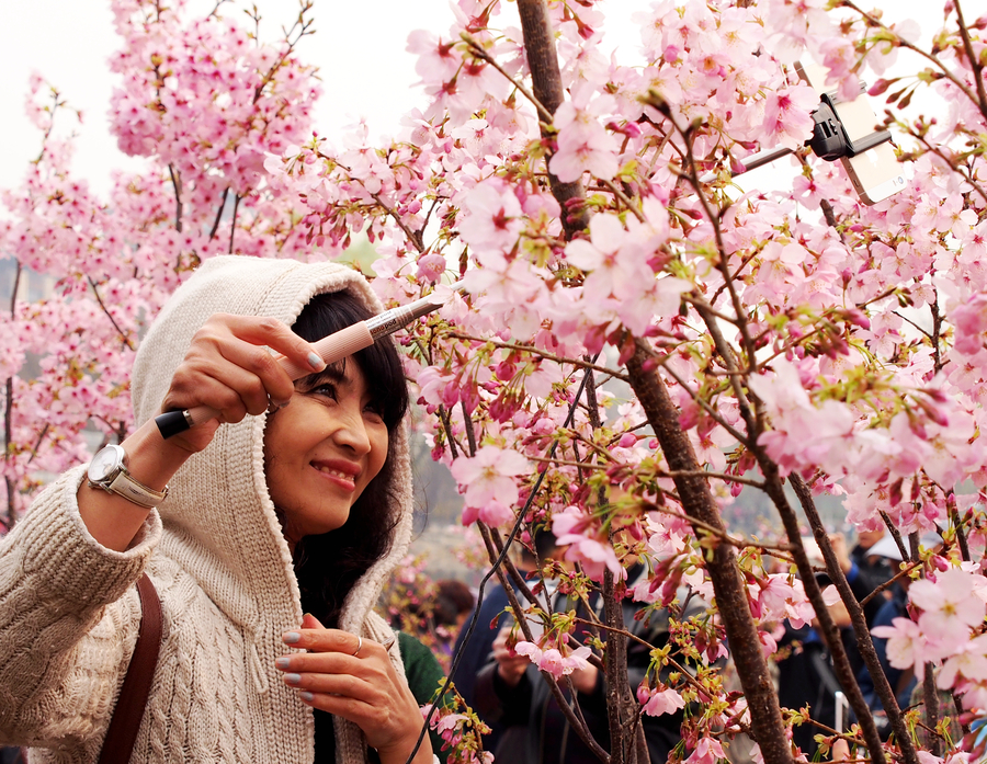 Beijing in bloom: A sea of flowers in spring