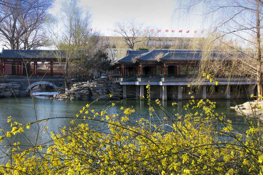 Beijing in bloom: A sea of flowers in spring