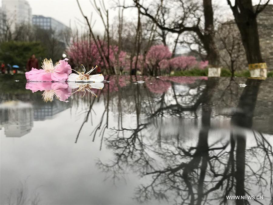 Cold front brings rainfall to Beijing